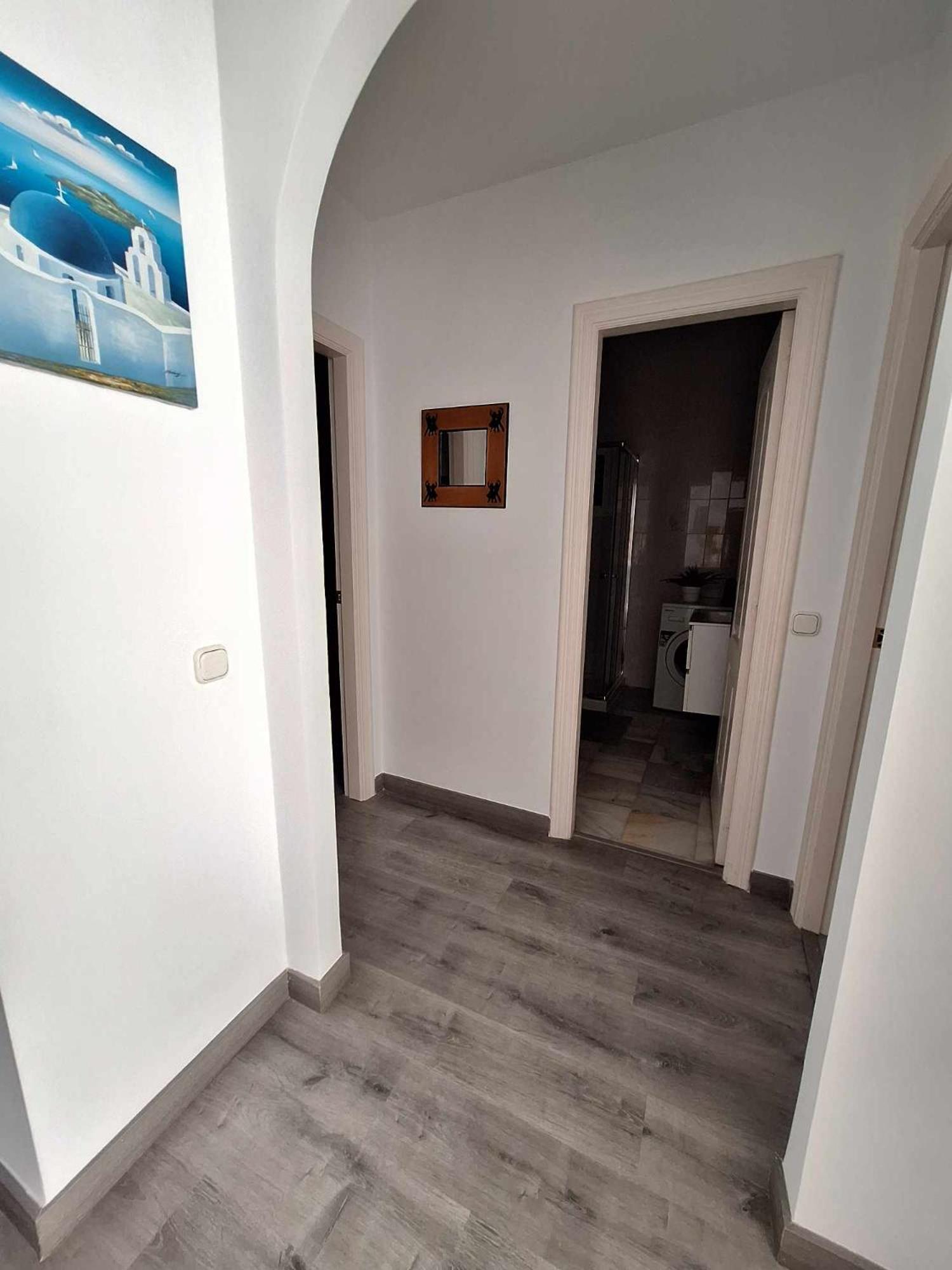 Apartament 